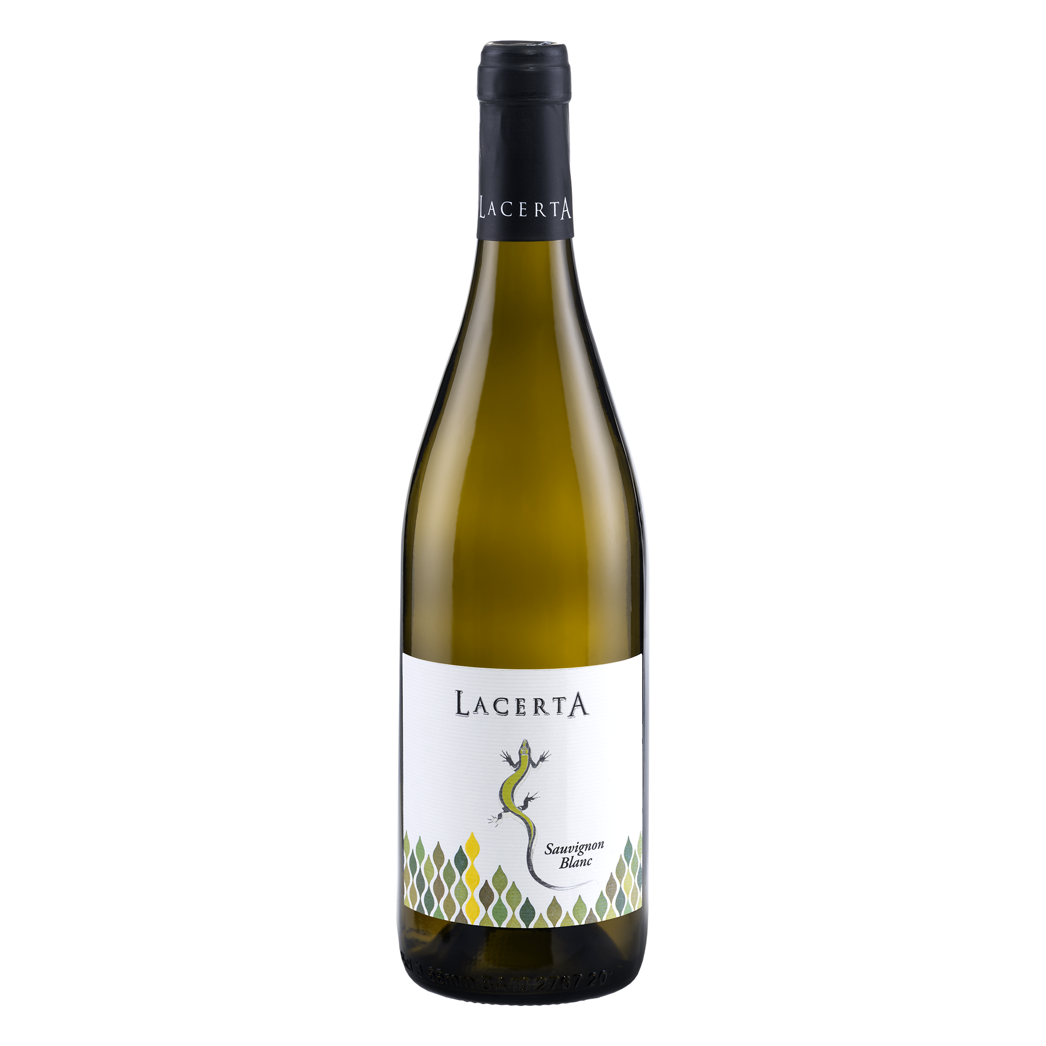 LacertA – Sauvignon Blanc – vin alb de la Crama LacertA, România