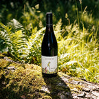 LacertA – Pinot Noir – sticlă de vin, 750ml, Crama LacertA