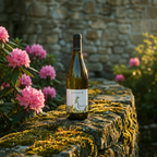 LacertA – Pinot Gris – sticlă de vin, 750ml, Crama LacertA